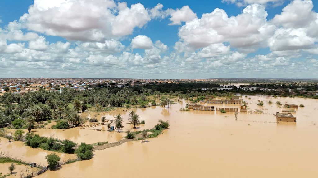 Aerial view of a rural area flooded with water, palm trees, and distant village.