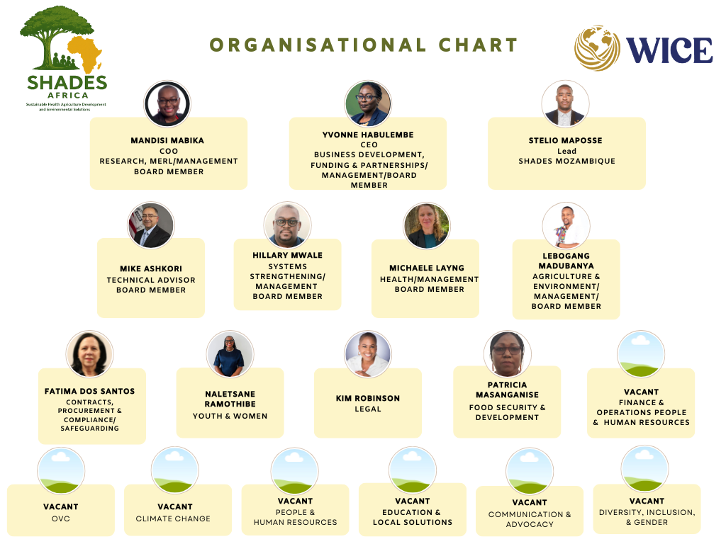 shades organization chart draft (1) shades organization chart draft (1)