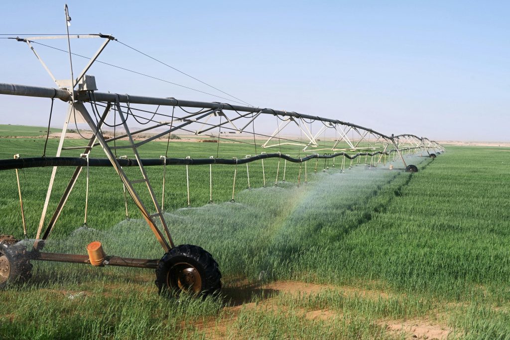 pexels photo 27624218 27624218 A sprinkler system irrigating lush green agricultural fields in Tabuk, Saudi Arabia under a clear sky.