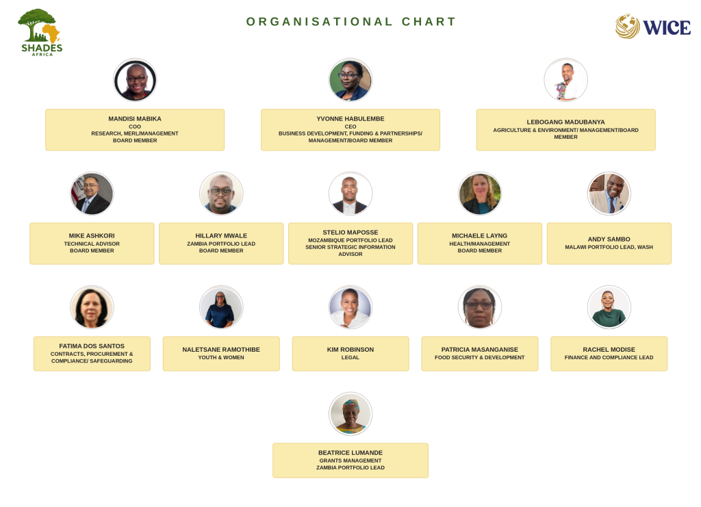 shades org chart revisedii sept 4 shades org chart revisedii sept 4